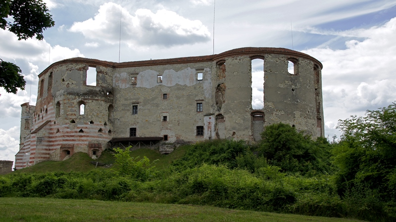 Zamek w Janowcu
